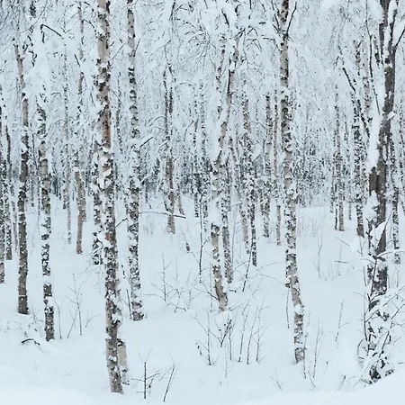 特拉乌提玛度假屋 *
