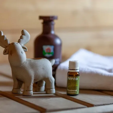 Terra Ultima Holiday home Rovaniemi