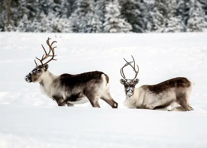 Terra Ultima Σπίτι διακοπών *