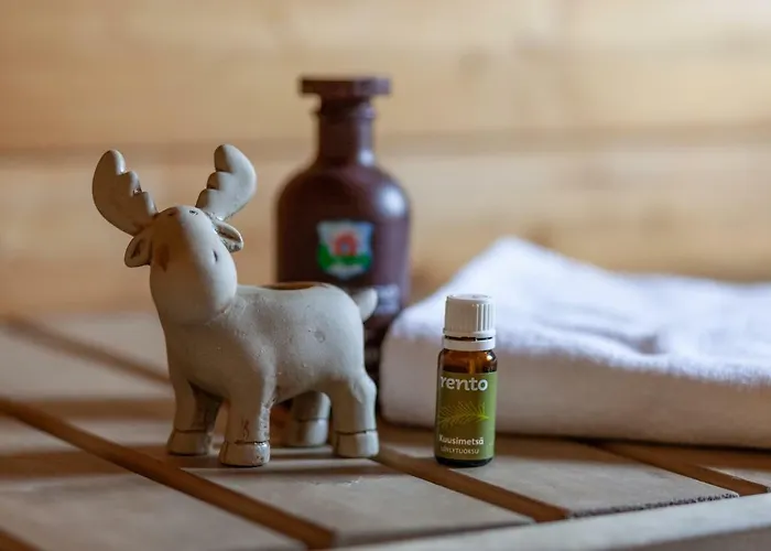 Terra Ultima Σπίτι διακοπών Ροβανιέμι